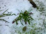 IMG_20120324_080611.jpg