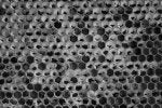 White Automotive tire Black Organism Black-and-white