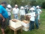 IMG01242-20120331-1507.jpg