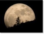 super_moon_2011_tim_mccord_ent.jpg