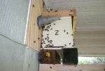 IMG_9156.jpg