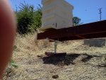 Ant Proof Hive Stand 1.jpg