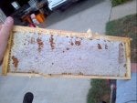 2012-07-15_16-12-16_104.jpg