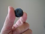 Blueberry 002.jpg